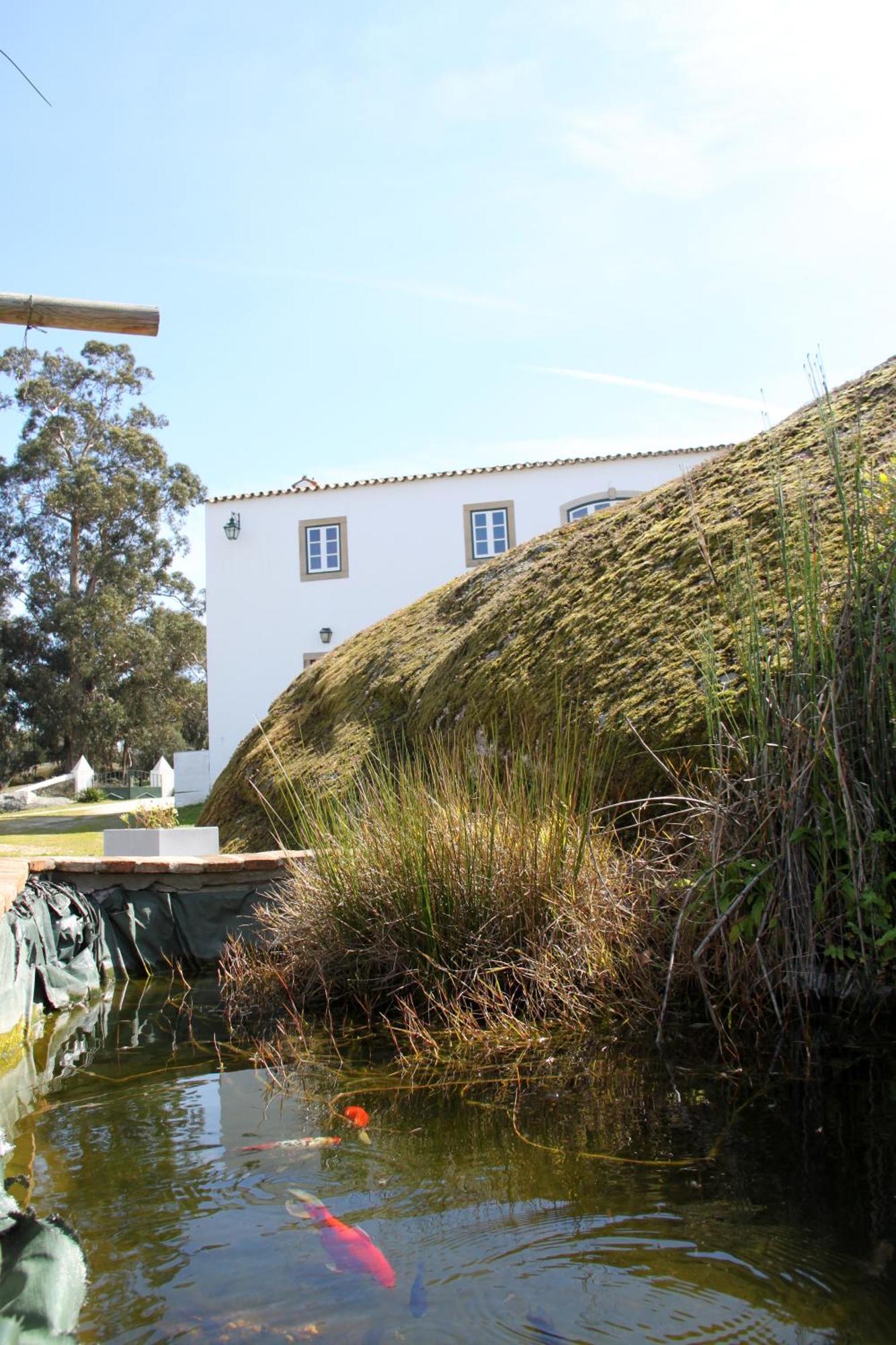 Alpalhão Quinta Dos Ribeirosゲストハウス 部屋 写真